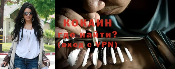 дживик Россошь